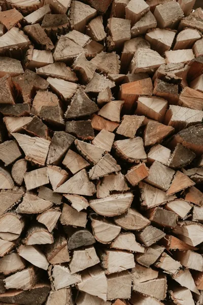 Leña de madera